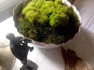detail with moss